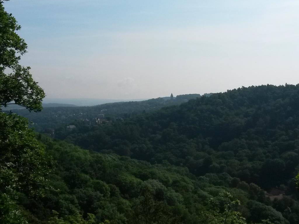 Villa Weitblick Eisenach Buitenkant foto